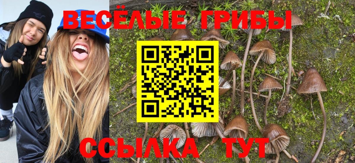 Уссурийск  Галлюциногенные грибы GOLDEN TEACHER  Вход с VPN 